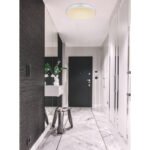 Plafoniera, metal alb, plastic argintiu, alb acrilic, functie de memorie, lumina de noapte, reglabila, telecomanda, fixare culoare, Ø410, H:60, inclusiv 1xLED 18W 230V, sursa 1860lm, iesire 1300lm, schimbarea culorii luminii 2700-6500K - imagine 2