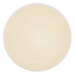 Plafoniera, metal alb, plastic argintiu, alb acrilic, functie de memorie, lumina de noapte, reglabila, telecomanda, fixare culoare, Ø410, H:60, inclusiv 1xLED 18W 230V, sursa 1860lm, iesire 1300lm, schimbarea culorii luminii 2700-6500K - imagine 4