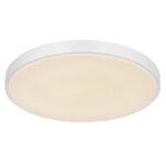 Plafoniera, metal alb, plastic argintiu, alb acrilic, functie de memorie, lumina de noapte, reglabila, telecomanda, fixare culoare, Ø505, V:80, inclusiv 1xLED 24W 230V, sursa 2580lm, iesire 1800lm, schimbarea culorii luminii 2700-6500K