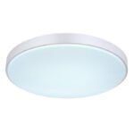 Plafoniera, metal alb, plastic argintiu, alb acrilic, functie de memorie, lumina de noapte, reglabila, telecomanda, fixare culoare, Ø505, V:80, inclusiv 1xLED 24W 230V, sursa 2580lm, iesire 1800lm, schimbarea culorii luminii 2700-6500K - imagine 5
