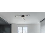 Plafoniera metal negru mat, plastic alb, mobil, CCT prin comutator de perete, D: 600, H: 125, incl. 1xLED 18W 230V, sursă 1940lm, ieșire 1500lm, CCT 3.000-4000-6.000K