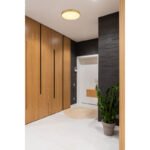 Plafonieră LED metal alamă colorată mată, plastic alb, ø: 350mm, I: 30mm, incl. LED 22W 230V, 2220lm Sursă, 1800lm Ieșire, 3000K - imagine 2