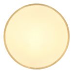 Plafonieră LED metal alamă colorată mată, plastic alb, ø: 350mm, I: 30mm, incl. LED 22W 230V, 2220lm Sursă, 1800lm Ieșire, 3000K - imagine 4