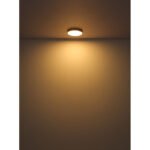 Plafonieră LED metal alamă colorată mată, plastic alb, ø: 350mm, I: 30mm, incl. LED 22W 230V, 2220lm Sursă, 1800lm Ieșire, 3000K - imagine 5