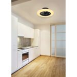 Ventilator de tavan metal/plastic negru, acrilic alb,reglabil, culorile pot fi fixate, lumina de noapte, temporizator, telecomanda, motor 18W, utilizare pt.25m²,ø:500mm,H:175mm,LED 30W 230V 180lm-1800lm, CCT 3000-6500K, variabilă de la 600-1000 RPM