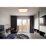 Plafonieră metal alb mat, plastic negru mat, acrilic opal, dimmable, color fixing, SmartLight, antic, funcție de memorie, lumină de noapte, temporizator, telecomandă, 485x485x66mm, LED 24W 230V, 200-2500lm Sursă, 100-1400lm Ieșire, CCT2700-6500K - imagine 2