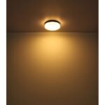 Corp de iluminat pentru exterior aluminiu negru mat, sticlă alb, IP44, ø: 184mm, I: 65mm, fără bec 1x E27 ILLU 60W 230V - imagine 5