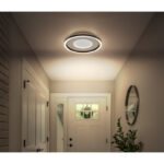 Plafonieră metal alb mat, metal gri periat, acril opal, plastic alb, mai multe niveluri prin comutator de perete, culorile pot fi fixate, funcție de memorie, ø: 330 mm, H: 57 mm, incl. LED 24W 230V, sursă 2900lm, ieșire 1000lm, CCT 2700/4500/6500K - imagine 3