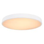 Plafoniera metal alb, plastic alb, funcție de memorie, reglabil, telecomandă, culori fixabile, D: 600, H: 105, incl.1xLED 48W 230V, sursă 3960lm, ieșire 3100lm, CCT 3.000-6.000 - imagine 5