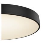 Plafoniera metal negru, plastic alb, funcție de memorie, reglabil, telecomandă, culori fixabile, D: 600, H: 105, incl.1xLED 48W 230V, sursă 3960lm, ieșire 3100lm, CCT 3.000-6.000 - imagine 5