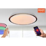 Plafoniera metal alb, metal negru, acril alb alb, Google Assistant+Alexa, cu control vocal și APP, cronometru, dimabil, telecomandă, schimbător de culori, culori fixabile, D: 560, H: 85, incl.1xLED 40W 230V, sursă 4400lm, CCT 3000-4000-6500K