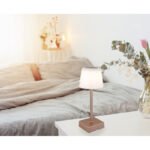 Lampă de masă plastic șampanie mat, aluminiu șampanie mat, plastic opal, touch on/off, dimmer, excl. adaptor, USB-A 2.0/USB-C, încărcare aprox. 4 ore, iluminare aprox. 4 ore, ø 85mm, 255mm, incl. LED 2W 230V, sursă 120lm, ieșire 100lm, CCT 3000-6500K - imagine 2