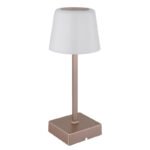 Lampă de masă plastic șampanie mat, aluminiu șampanie mat, plastic opal, touch on/off, dimmer, excl. adaptor, USB-A 2.0/USB-C, încărcare aprox. 4 ore, iluminare aprox. 4 ore, ø 85mm, 255mm, incl. LED 2W 230V, sursă 120lm, ieșire 100lm, CCT 3000-6500K - imagine 3