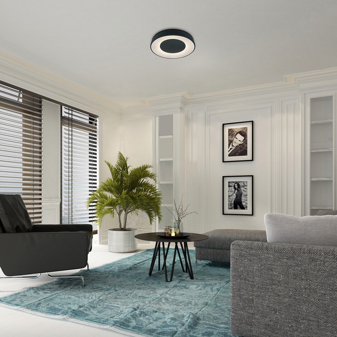 3082-e CEILO 3082 - imagine 1