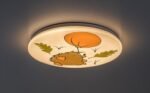 Hedgy,ind.ceil. LED24W, D37,5cm,hedgehog 71191 - imagine 3