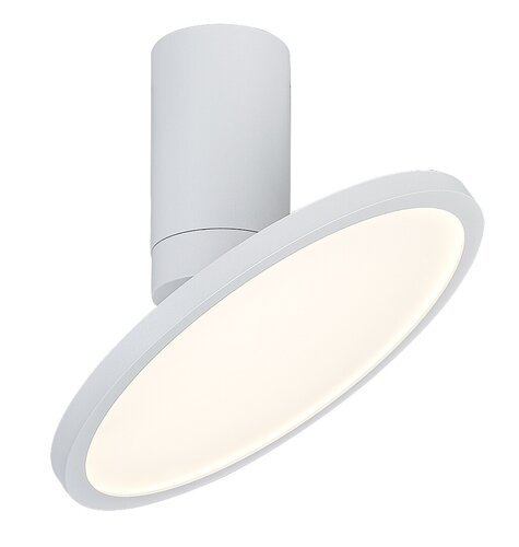 71328 Ovidia,ind.ceil. LED20W, H17cm, white 71328 - imagine 1