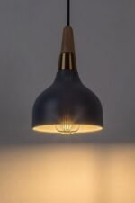 Drusilla,ind.pend. E27 1xMAX40W, D15cm 72135 - imagine 3
