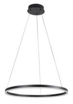 ISAURE 72301 - imagine 2