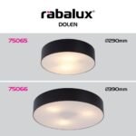 Dolen 75066 - imagine 6
