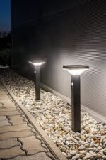 GELEEN 77045 - imagine 7