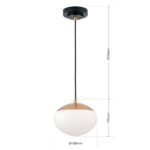 Pendul JOSEPHINE, 1 lampa E27, otel negru, abajur sticla opal, diametrul 18cm ORION - imagine 8