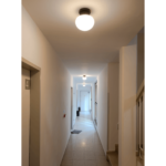 Plafoniera JOSEPHINE, 1 lampa E27, otel negru, abajur sticla opal, diametrul 18cm ORION - imagine 5