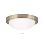 Plafoniera FATO, otel patinat, 32cm 2xE27 IP44 ORION - imagine 8