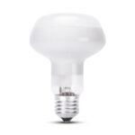 Bec Halogen Spot R80 42W E27 2900K Clar TOTAL GREEN