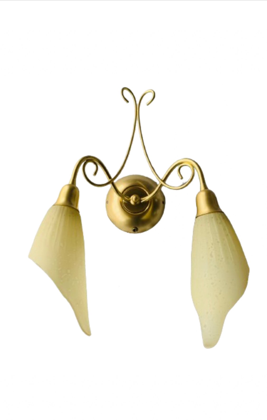 47110180 Aplica Perete GOLD-MATT E14 2x40W Cadru Metal Auriu Abajur Bulb Floare Matt, Orion - imagine 1