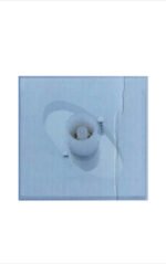 Aplica Perete ESPRIT G9 1x40W Cadru Metal Satin Ornament Foaie Sticla Mat Abajur Tub Vertical Sticla ESTO