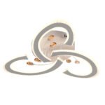 Plafoniera Solia LED 70W 3CCT 7800lm IP20, alb, Metal + Acrilic IP20 ERSTE - imagine 3