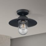 Plafoniera pentru exterior EDWARD, E27 1x60W aluminiu finisaj antracit inaltime 27.5cm IP44 ORION - imagine 3