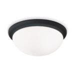 Plafoniera CLASSICO, cu abajur din sticlă opal mat, E27 2x40W otel finisaj negru, 38cm IP20 ORION - imagine 2