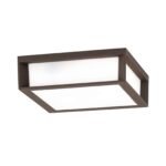 Plafoniera de exterior HENRY, E27 2x35W aluminiu finisaj corten, diametrul 26cm IP44 ORION - imagine 2