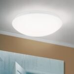 Plafoniera LED NEDO, cu abajur din sticlă acrilica opal mat, LED 16W/975lm/3000K otel finisaj alb, 30cm IP20 ORION