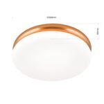 Plafoniera LED JAMES, otel finisaj cupru, abajur opal mat LED24W1300lm3000 32cm IP20 ORION - imagine 6