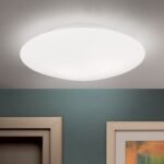 Plafoniera ALBA, cu abajur din sticlă opal mat, E27 2x60W otel finisaj alb, 37cm IP20 ORION