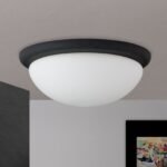 Plafoniera CLASSICO, cu abajur din sticlă opal mat, E27 2x40W otel finisaj negru, 38cm IP20 ORION - imagine 3