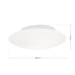 Plafoniera ALBA, cu abajur din sticlă opal mat, E27 1x60W otel finisaj alb, 30cm IP20 ORION - imagine 5