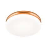 Plafoniera LED JAMES, otel finisaj cupru, abajur opal mat LED24W1300lm3000 32cm IP20 ORION - imagine 2