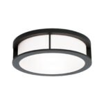 Plafoniera de exterior HENRY, E27 2x35W aluminiu finisaj antracit, diametrul cm IP44 ORION - imagine 2