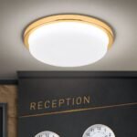 Plafoniera LED LEROX, otel finisaj auriu, Ø 30cm LED29W/2100lm/3000K IP20 ORION