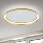 Plafoniera LED MANTA, Baza din fier, Nuanta auriu mat, Abajur cu banda LED 50W/2700lm/3CCT Lumina calda-neutra-rece, Dimambil, Diametrul 60cm, Inaltime 7cm IP20 ORION - imagine 3