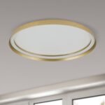 Plafoniera LED MANTA, Baza din fier, Nuanta auriu mat, Abajur cu banda LED 50W/2700lm/3CCT Lumina calda-neutra-rece, Dimambil, Diametrul 60cm, Inaltime 7cm IP20 ORION - imagine 4